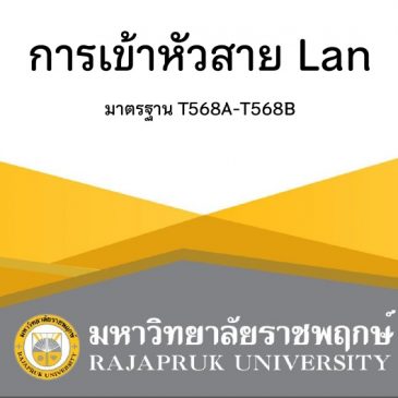 เรื่อง The Fundamentals of Networking คณะเทคโนโลยีดิจิทัล